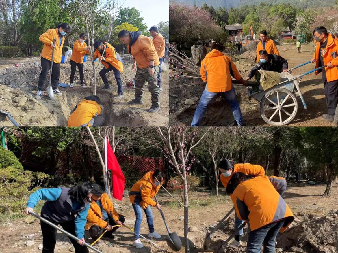 1678849993194723.jpg IMG_3725.JPG.JPG